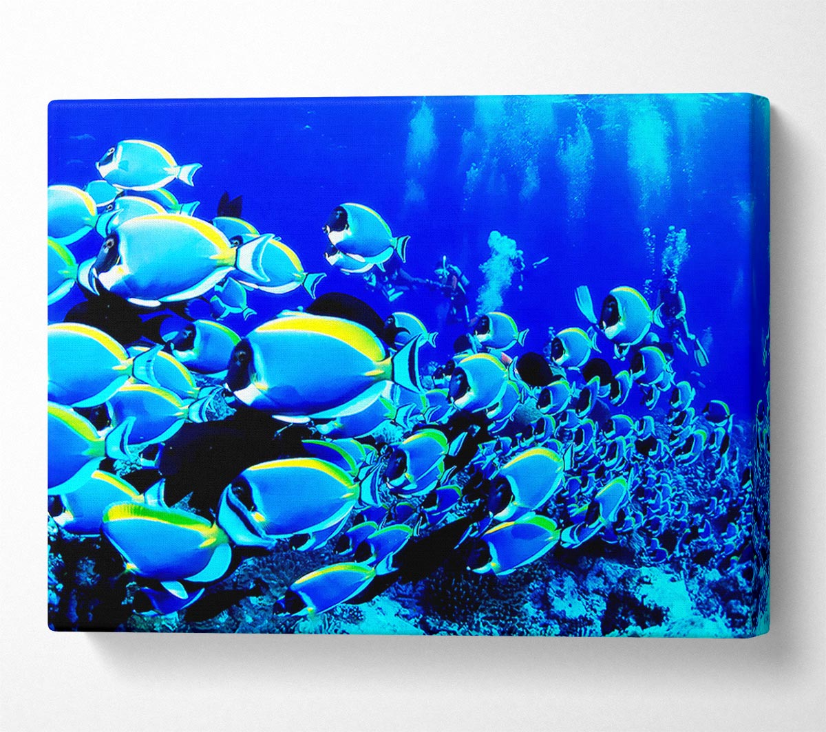 Oceans Glory Canvas Wall Art
