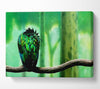 Parrot Perch Canvas Wall Art