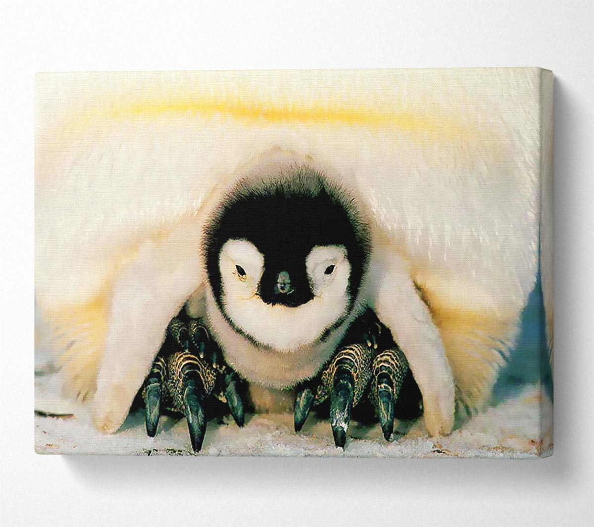 Penguin Love Canvas Wall Art