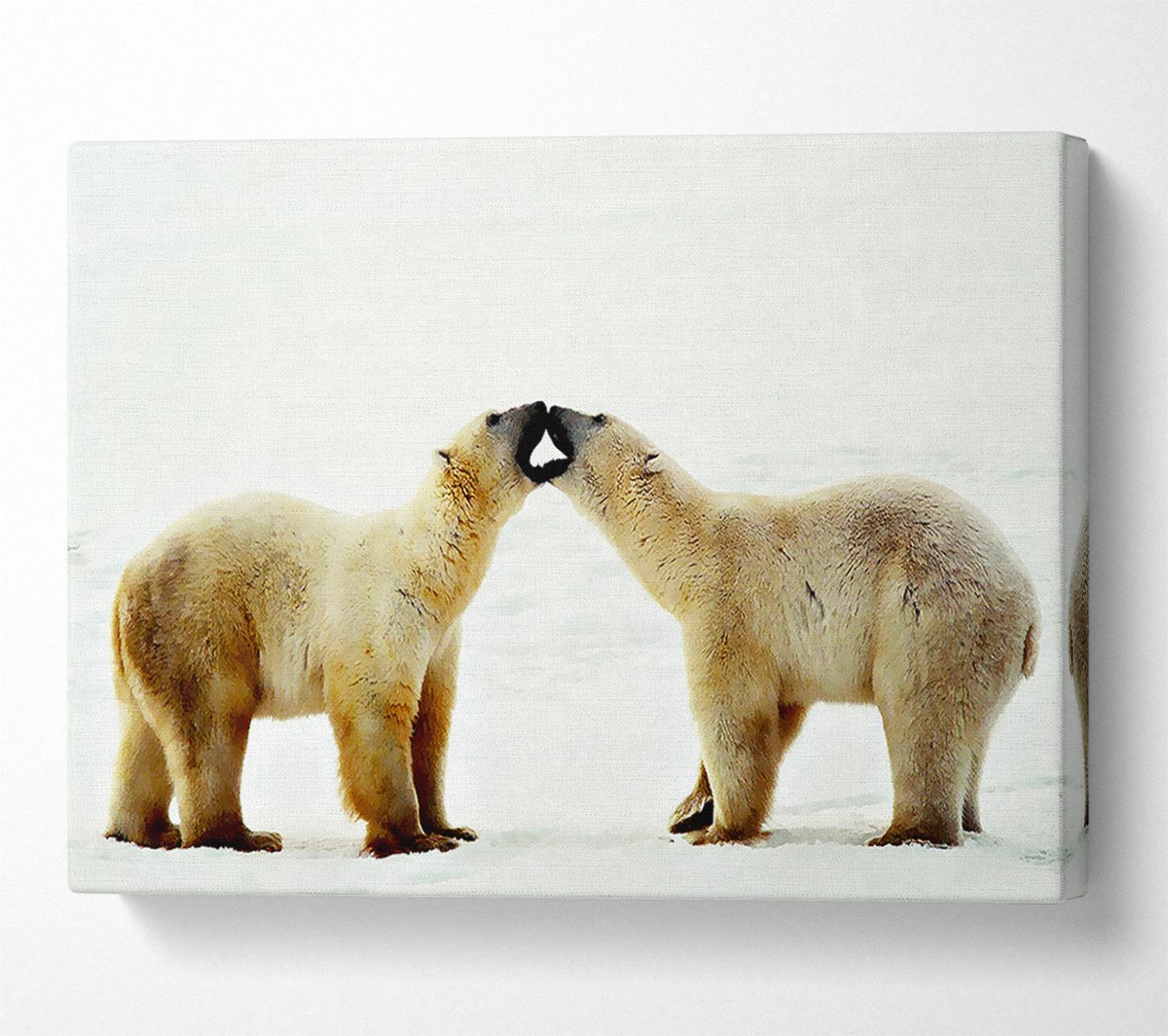 Polar Bear Love Canvas Wall Art