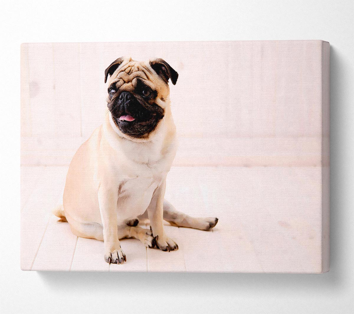 Pug Dog Canvas Wall Art