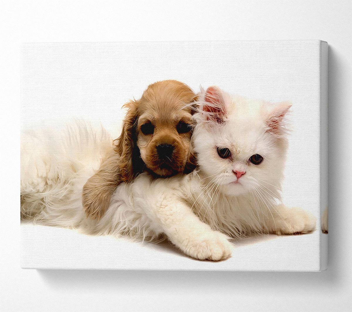 Puppy And Kitten Love Canvas Wall Art