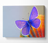 Purple Butterfly Canvas Wall Art