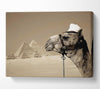 Pyramid Camel Canvas Wall Art