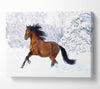 Racing Horse Canvas Wall Art