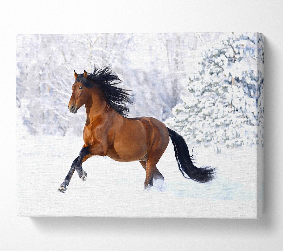 Racing Horse Canvas Wall Art