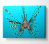Red Lionfish Canvas Wall Art