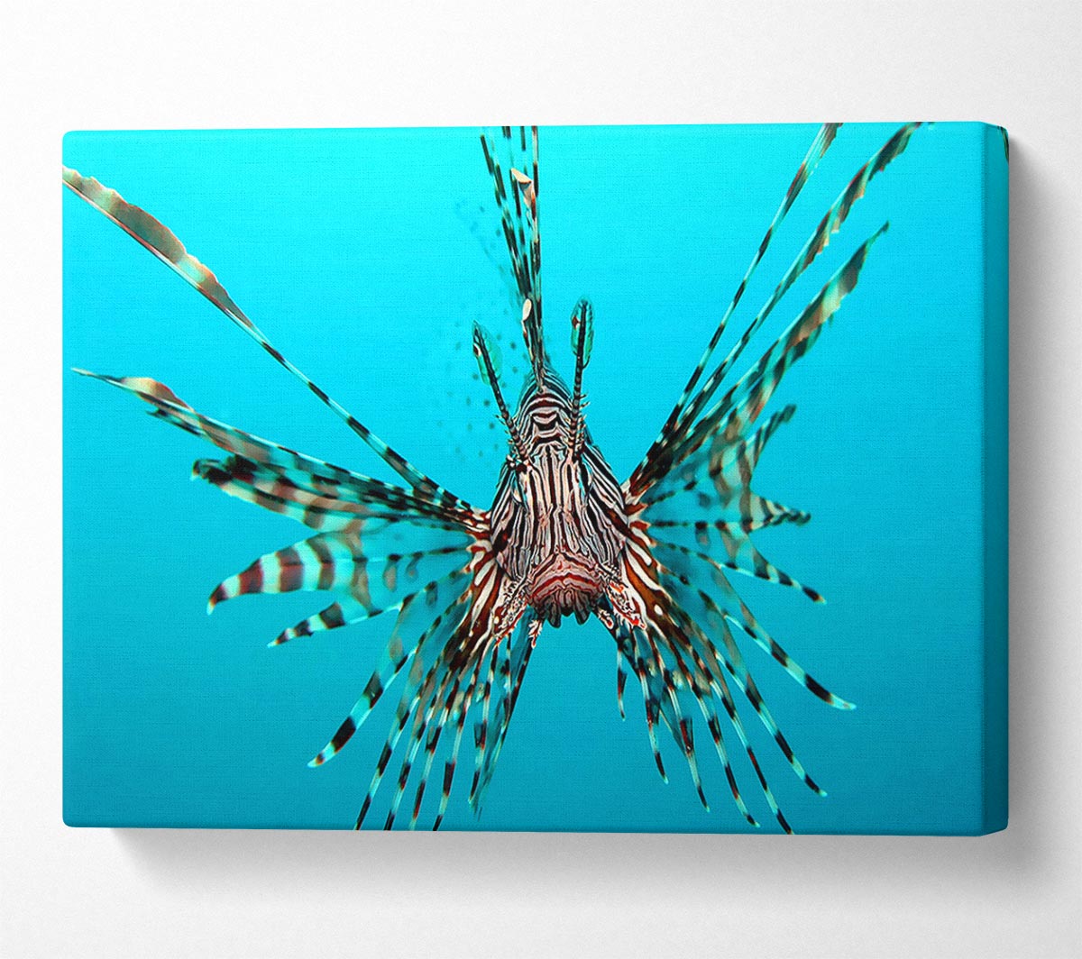 Red Lionfish Canvas Wall Art
