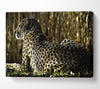 Resting Cheetah Canvas Wall Art
