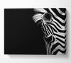 Sad Zebra Canvas Wall Art