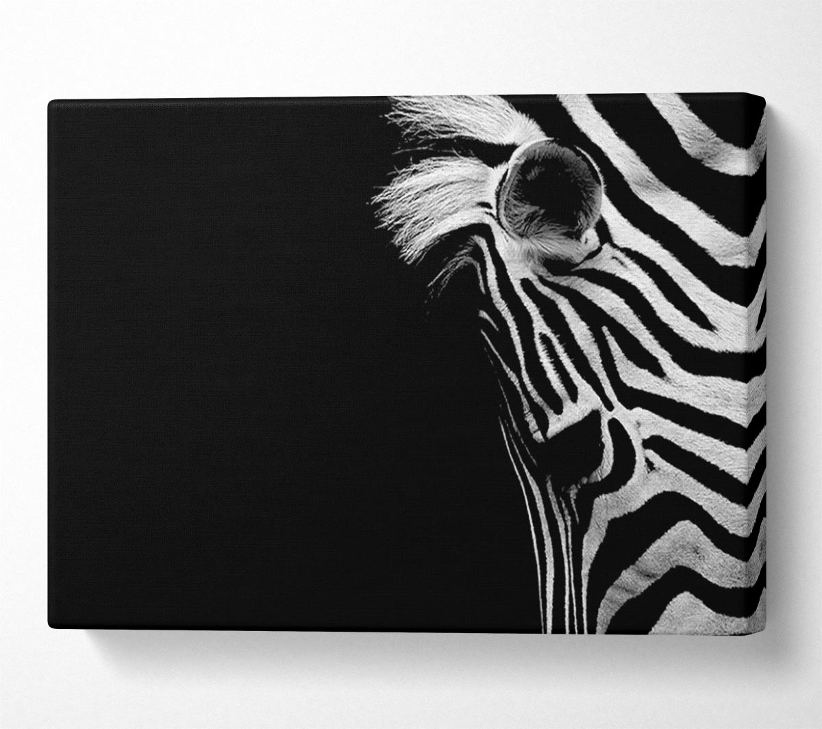 Sad Zebra Canvas Wall Art