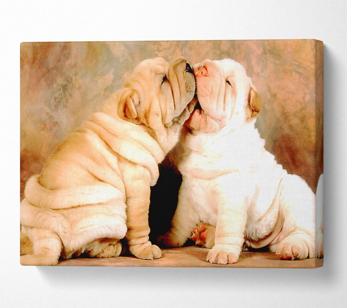 Shar Pei Puppies Canvas Wall Art