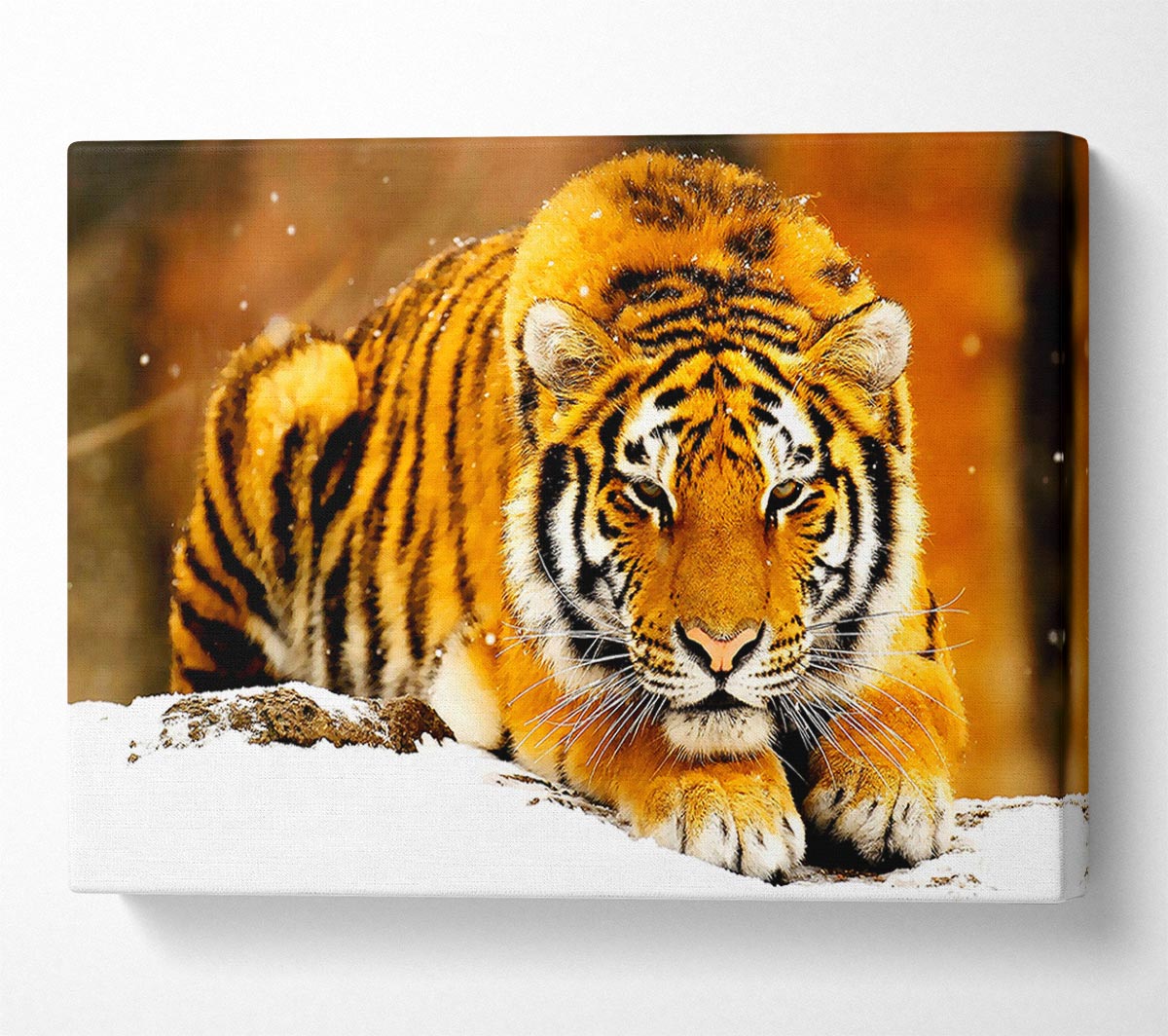 Siberian Snow Tiger Canvas Wall Art