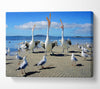 Singing Seagulls Canvas Wall Art