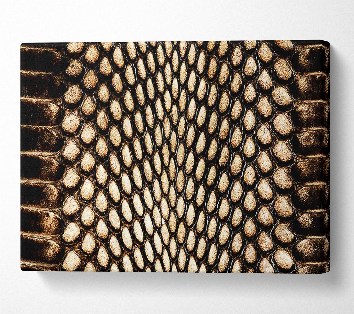Snake Scales Canvas Wall Art