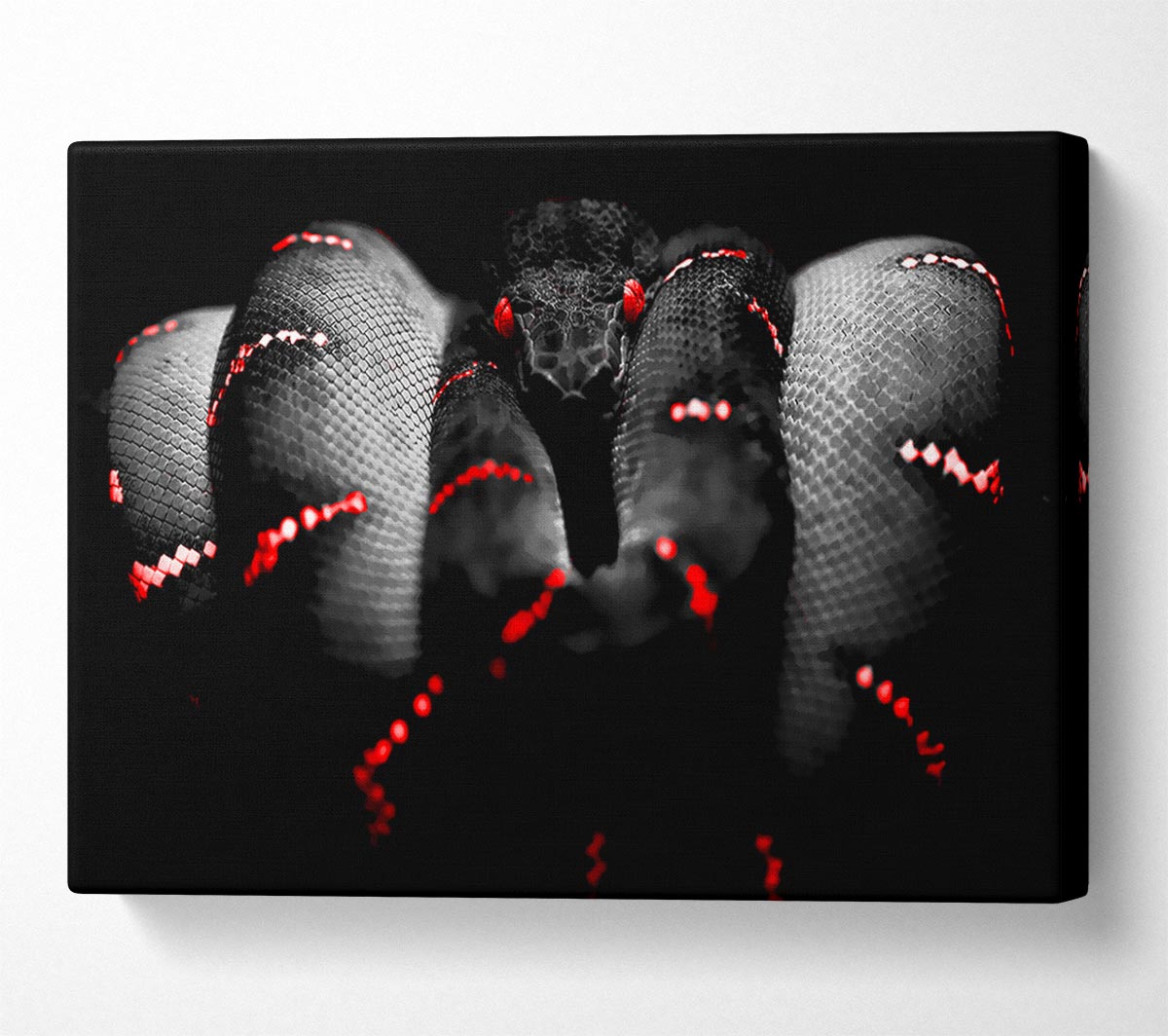 Snake Venom Canvas Wall Art