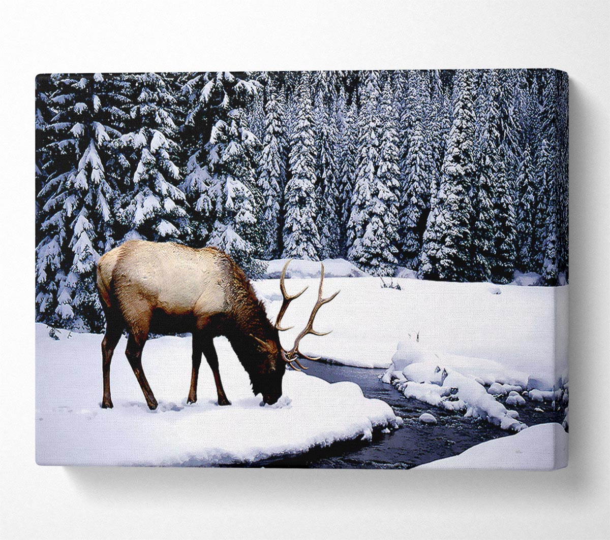 Stag In Winter Canvas Wall Art