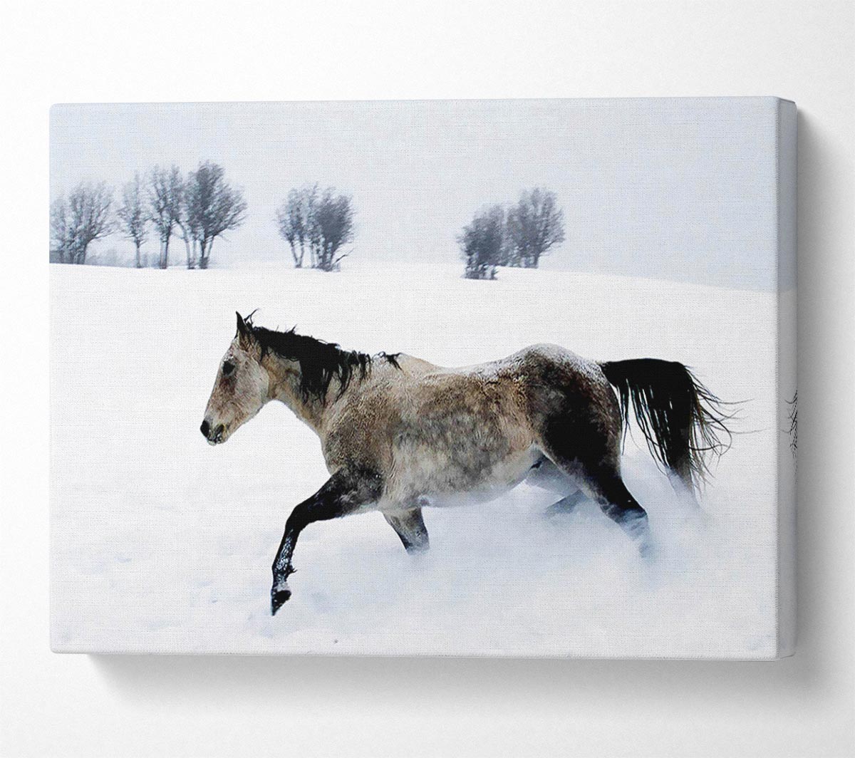 Stallion In The Snow Canvas Wall Art