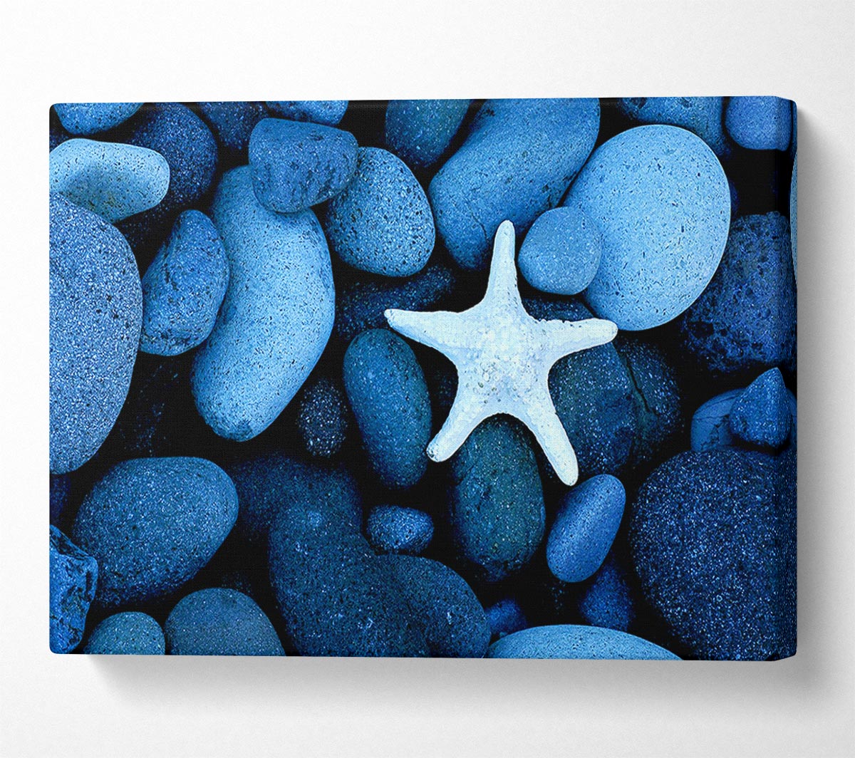 Star Fish Rocks Canvas Wall Art