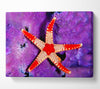 Starfish On Purple Canvas Wall Art