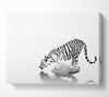 Tiger Drinking Canvas Wall Art