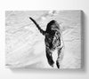 Tiger Running In Snow Canvas Wall Art