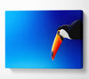 Tucan Beauty Canvas Wall Art