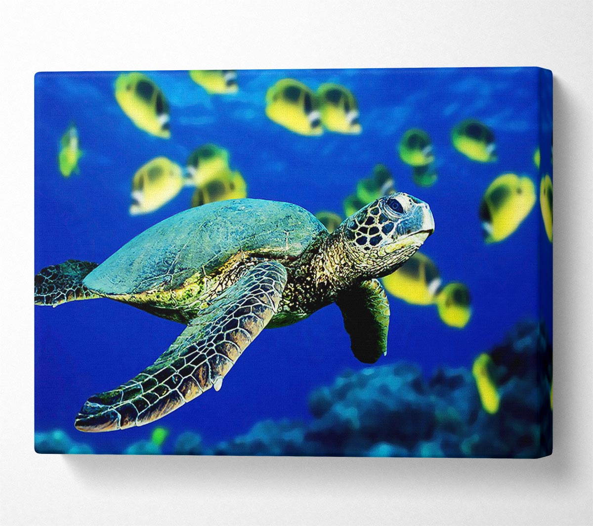 Turtle Ocean Canvas Wall Art