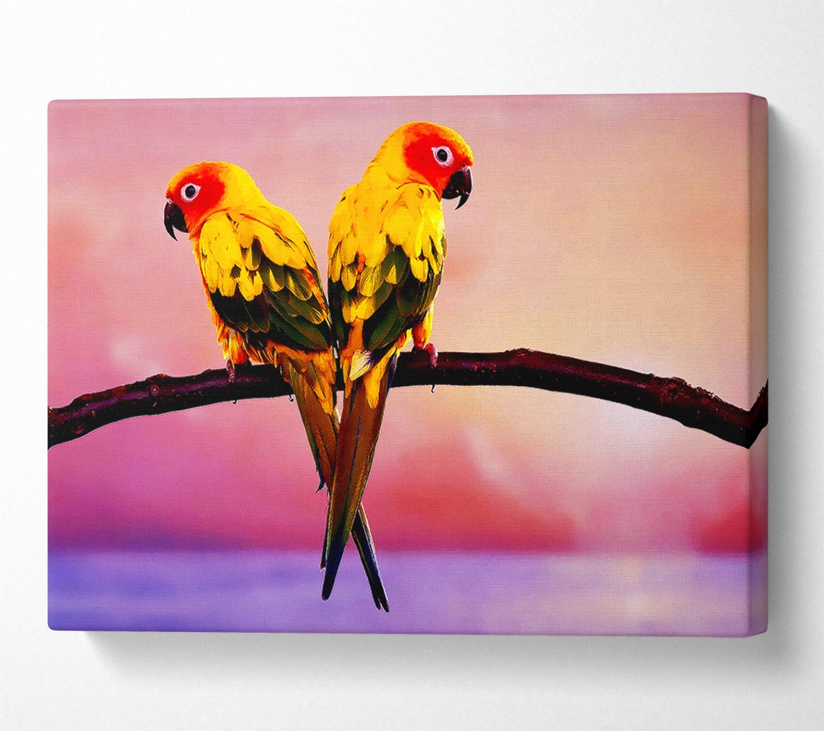 Twin Parrots Canvas Wall Art