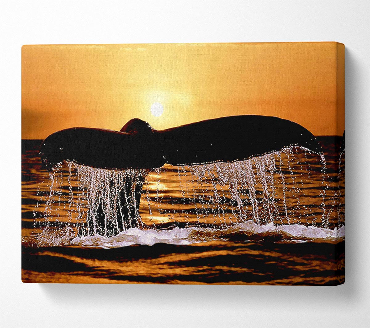Whale Tale Canvas Wall Art