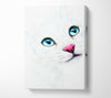 White Cat Blue Eyes Canvas Wall Art