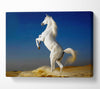 White Horse Stance Canvas Wall Art