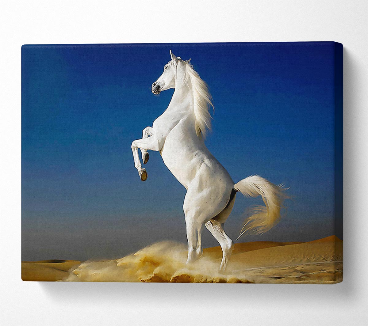 White Horse Stance Canvas Wall Art