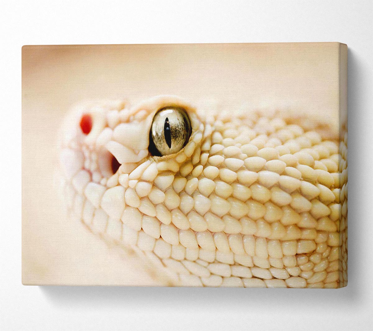 White Snake Canvas Wall Art