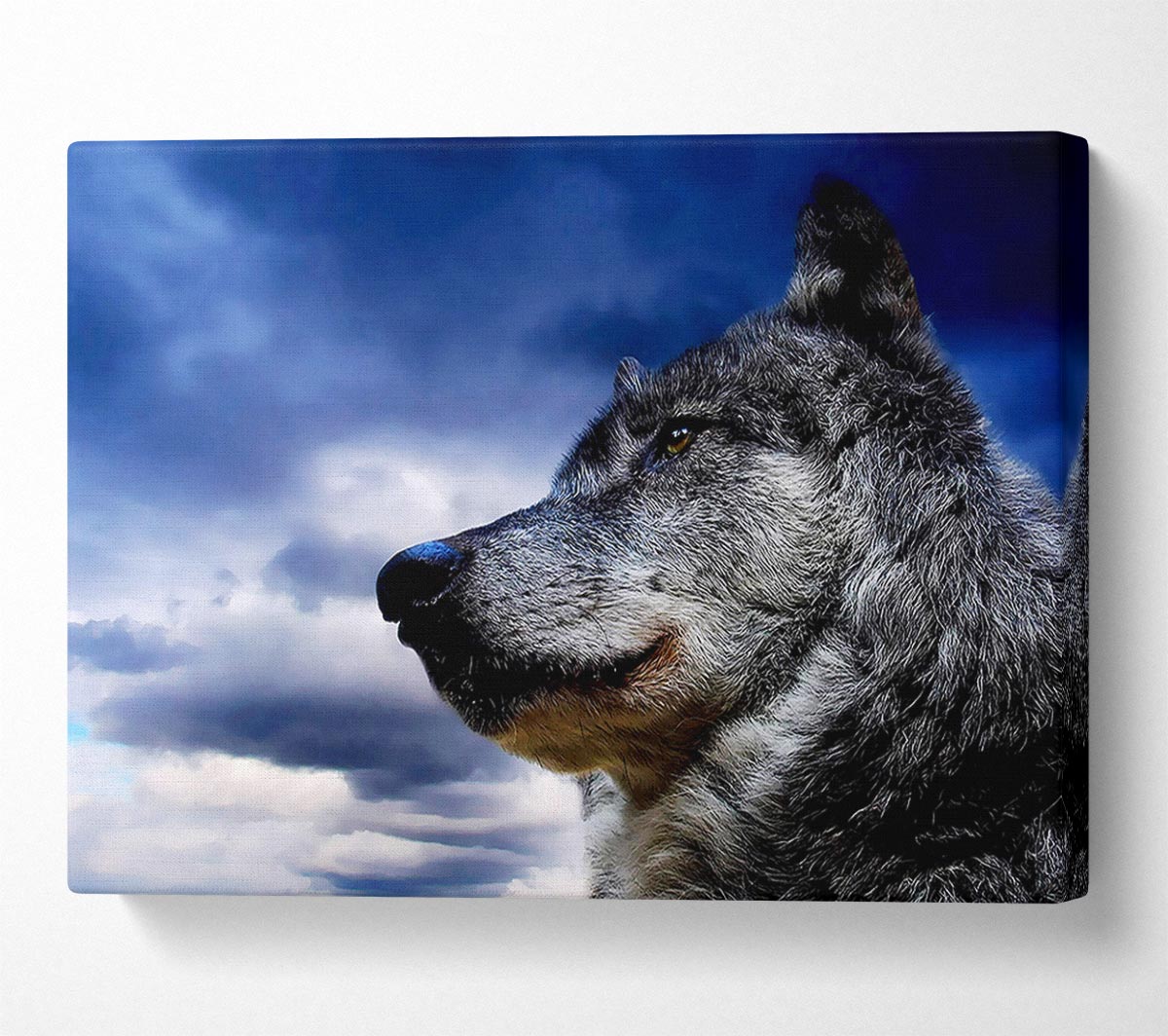 Wolf Clouds Canvas Wall Art