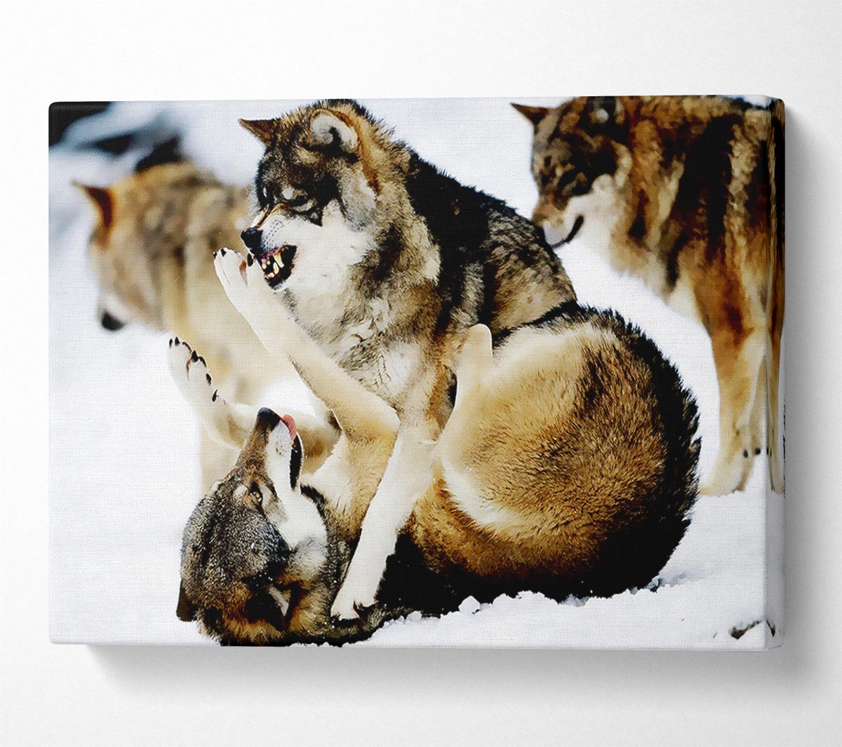Wolf Pack Canvas Wall Art