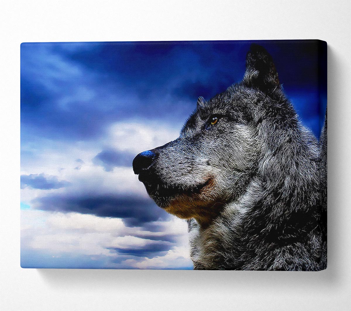 Wolf Skies Canvas Wall Art