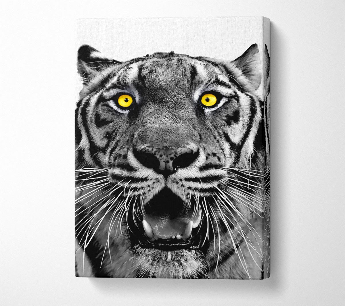 Yellow Tiger Eyes Canvas Wall Art