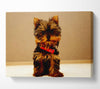 Yorkshire Terrier Puppy Canvas Wall Art
