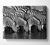 Zebra Drinking Canvas Wall Art