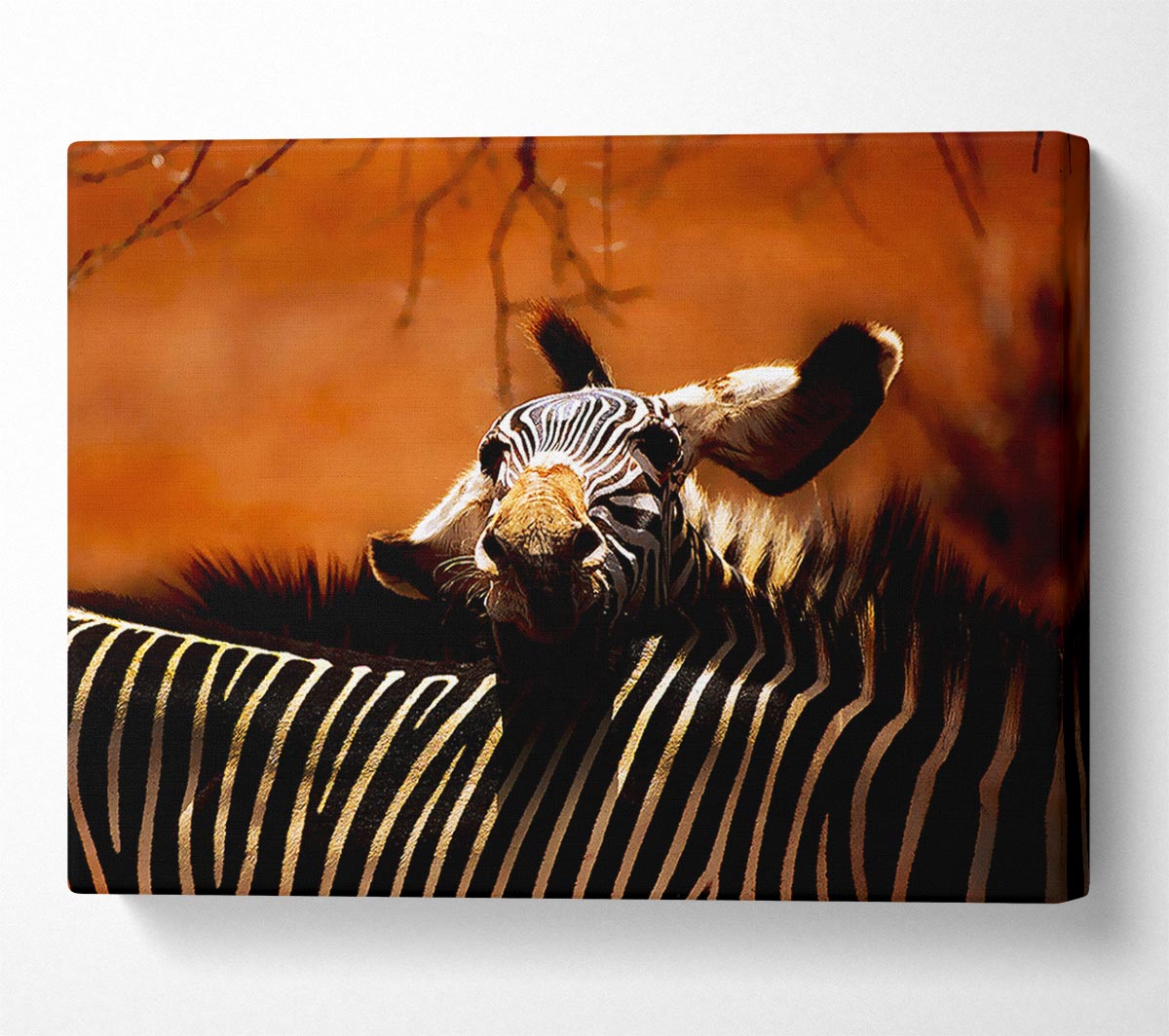 Zebra Family Love Canvas Wall Art