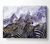 Zebra Stampede Canvas Wall Art