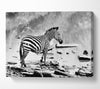 Zebras Watering Hole B n W Canvas Wall Art