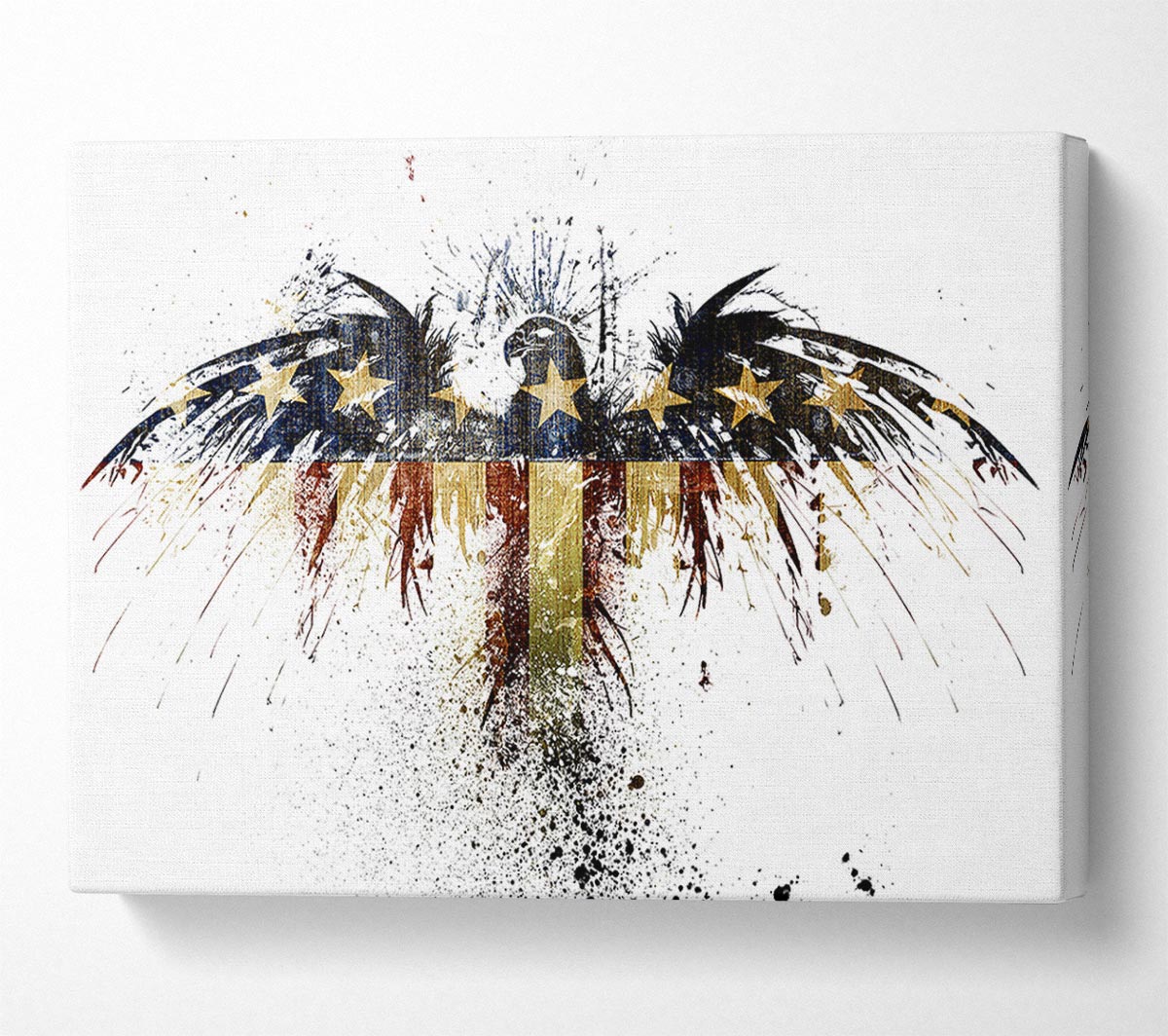 American Eagle 2 Canvas Wall Art