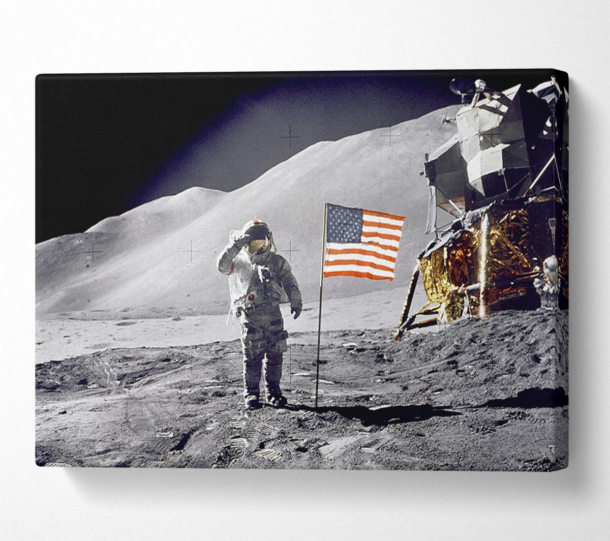 David Scott Gives Salute Canvas Wall Art