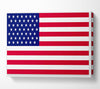 American Star Canvas Wall Art