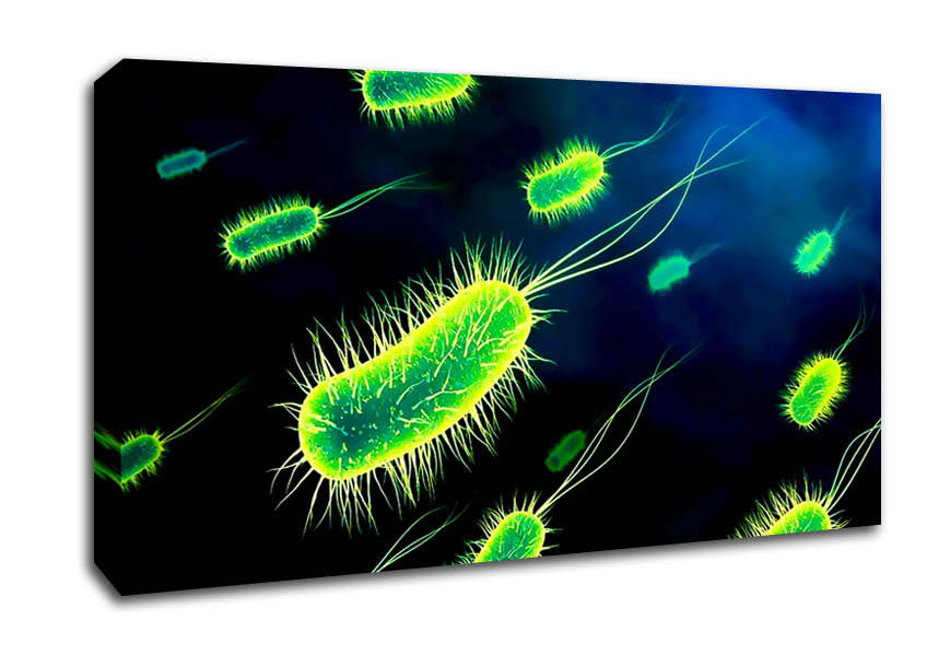 Manifestation Canvas Wall Art