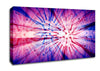 Blazing Star Canvas Wall Art