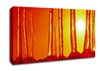 Icecap Sun Canvas Wall Art