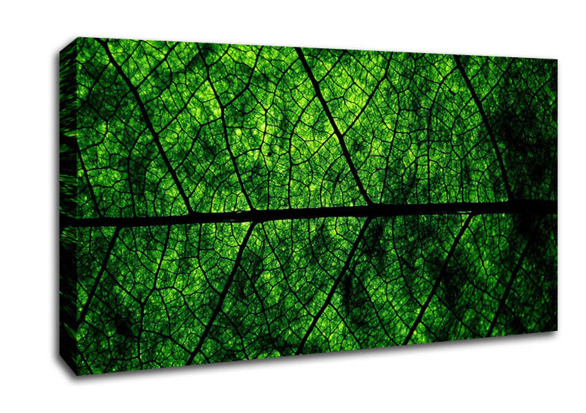Leaf Veins Canvas Wall Art